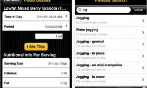 Calorie Tracker iPhone