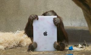 iPad Makes an Appearance at the Zoo